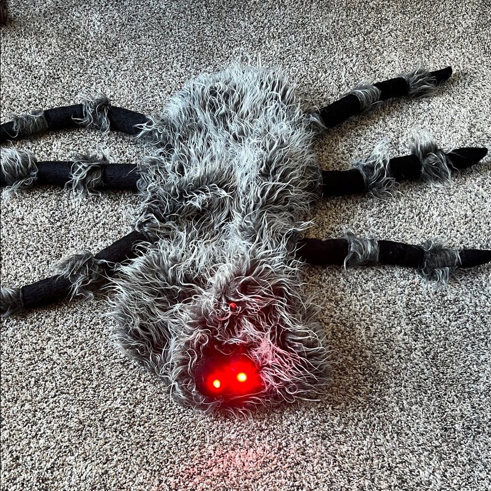 Pet costume-spider with battery operated light up eyes